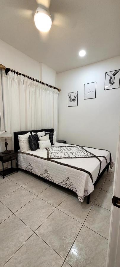 Villa Las Palmeras South Miami Exteriör bild